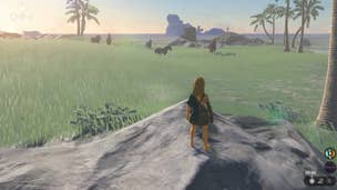 Link looks over toward Ganon's HorseThe Legend of Zelda: Tears of the Kingdom